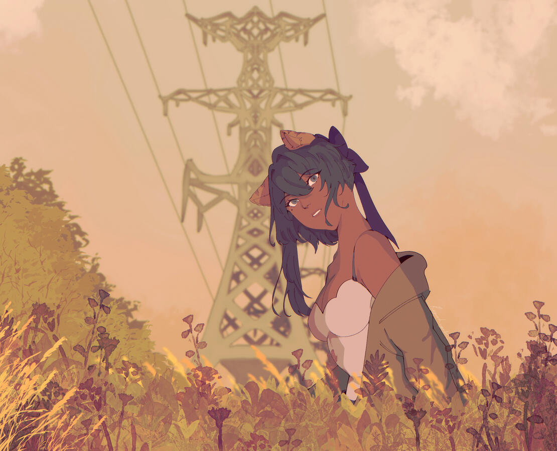 Fields